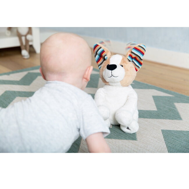 Dainuojantis minkštas žaislas Zazu Danny Dog цена и информация | Žaislai kūdikiams | pigu.lt