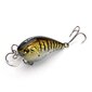 Vobleris Banshee Crankbait 60mm 12g VC03 Ayu Gill, Plūdrus цена и информация | Vobleriai, masalai, blizgės | pigu.lt