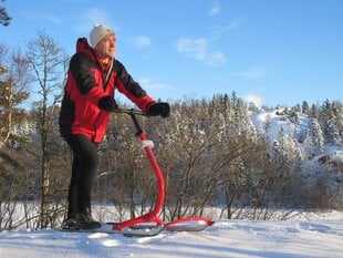 Suomiškos rogės Kickspark MAX, oranžinis цена и информация | Санки | pigu.lt