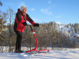 Suomiškos rogės Kickspark MAX, pilkos kaina ir informacija | Rogutės | pigu.lt