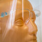 Apsauginis veido skydas su akinių rėmeliu, 5 vnt kaina ir informacija | Galvos apsauga | pigu.lt