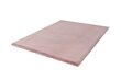 Kilimas Heaven Pink 120x170 cm kaina ir informacija | Kilimai | pigu.lt