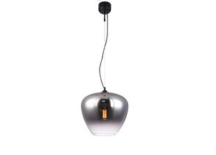 Подвесной светильник Oscar Ø 24 см цена и информация | Люстры | pigu.lt