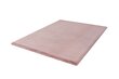 Kilimas Heaven Pink 80x150 cm kaina ir informacija | Kilimai | pigu.lt