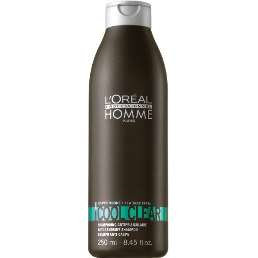 Šampūnas nuo pleiskanų vyrams L'Oreal Professionnel Homme Haircare Cool Clear 250 ml kaina ir informacija | Šampūnai | pigu.lt