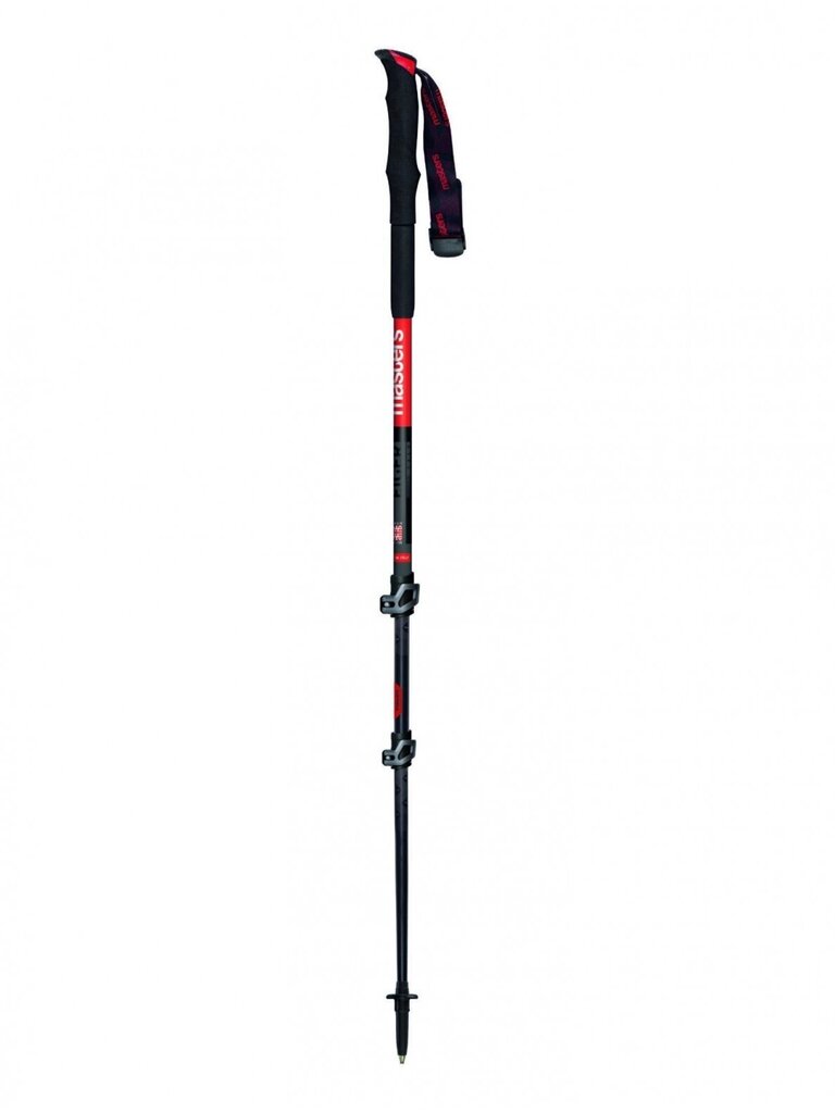 Trekingo lazdos Masters Eiger Calu 66-135 cm цена и информация | Ėjimo lazdos | pigu.lt
