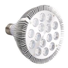 LED lempa augalams, 15w, 2700K kaina ir informacija | Daigyklos, lempos augalams | pigu.lt