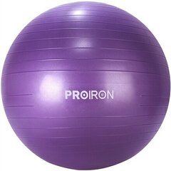 Gimnastikos kamuolys su pompa Proiron PRO-YJ01-8 55 cm, violetinis kaina ir informacija | Gimnastikos kamuoliai | pigu.lt