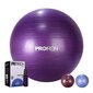 Gimnastikos kamuolys su pompa Proiron PRO-YJ01-5 65 cm, violetinis kaina ir informacija | Gimnastikos kamuoliai | pigu.lt