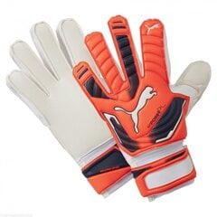 Vartininko pirštinės Puma evoPower Grip 2 RC 04099830, oranžinės цена и информация | Тренировочные перчатки. Размер 5 | pigu.lt