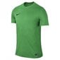 Futbolo marškinėliai vyrams Nike Park VI 725891-303, žali kaina ir informacija | Futbolo apranga ir kitos prekės | pigu.lt
