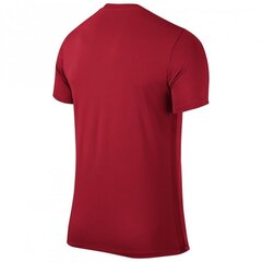 Marškinėliai berniukams Nike Park VI Junior 725984-657, raudoni kaina ir informacija | Marškinėliai berniukams | pigu.lt