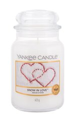 Ароматическая свеча Yankee Candle Snow In Love 623 г цена и информация | Подсвечники, свечи | pigu.lt