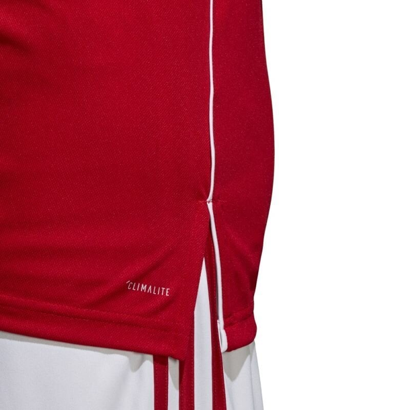 Футболка мужская Adidas Core 18 M CV3591, XS цена | pigu.lt