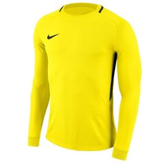 Спортивная Вратарская футболка Nike Dry Park III LS Junior цена и информация | Свитеры, жилетки, пиджаки для мальчиков | pigu.lt