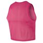 Nike vyriški sportiniai marškinėliai Training BIB 910936-616, rožiniai kaina ir informacija | Sportinė apranga vyrams | pigu.lt