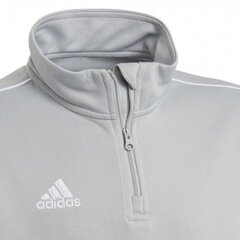 Свитер для мальчиков Adidas Core 18 TR Top Junior CV4142, серый цена и информация | Свитеры, жилетки, пиджаки для мальчиков | pigu.lt