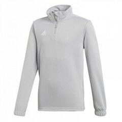 Džemperis berniukams Adidas Core 18 TR Top Junior CV4142, pilkas kaina ir informacija | Megztiniai, bluzonai, švarkai berniukams | pigu.lt