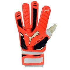 Вратарь перчатки Puma evo power grip 2 aqua 41145 30, оранжевые цена и информация | Перчатки вратаря | pigu.lt