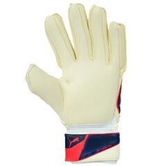 Vartininko pirštinės Puma evo power grip 2 M IC 41162, įvairių spalvų kaina ir informacija | Puma Futbolas | pigu.lt