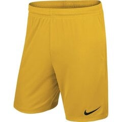 Спортивные шорты мужские Nike PARK II M 725887 739, желтые цена и информация | Мужские термобрюки, темно-синие, SMA61007 | pigu.lt