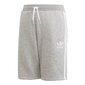 Šortai berniukams Adidas Originals Fleece Jr DV2891 Shorts, pilki цена и информация | Šortai berniukams | pigu.lt