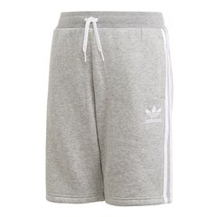 Šortai berniukams Adidas Originals Fleece Jr DV2891 Shorts, pilki kaina ir informacija | Šortai berniukams | pigu.lt