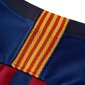 Marškinėliai moterims Nike FC Barcelona Breathe Home Stadium Shirt W 894447-456 kaina ir informacija | Marškinėliai moterims | pigu.lt