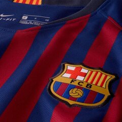 Marškinėliai moterims Nike FC Barcelona Breathe Home Stadium Shirt W 894447-456 цена и информация | Женские футболки | pigu.lt