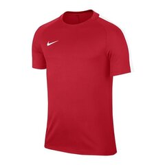 Marškinėliai vyrams Nike Dry Squad 17 M 831567-657, raudoni kaina ir informacija | Vyriški marškinėliai | pigu.lt