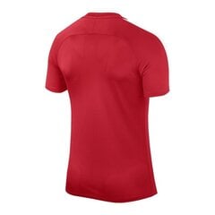 Marškinėliai vyrams Nike Dry Squad 17 M 831567-657, raudoni цена и информация | Футболка мужская | pigu.lt