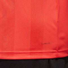 Marškinėliai ilgomis rankovėmis vyrams Adidas Referee 18 Jersey LS referee shirt long sleeve M CV6322, raudoni kaina ir informacija | Vyriški marškinėliai | pigu.lt