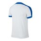 Marškinėliai berniukams Nike Striker IV Jr 725974-100, balti kaina ir informacija | Marškinėliai berniukams | pigu.lt