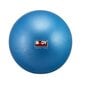 Gimnastikos kamuolys Mini BB 013, 25 cm, mėlynas kaina ir informacija | Gimnastikos kamuoliai | pigu.lt