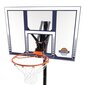 Mobilus reguliuojamo aukščio krepšinio stovas kaina ir informacija | Krepšinio stovai | pigu.lt