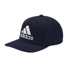 Kepurė su snapeliu Adidas H90 Logo Cap M DT8577 цена и информация | Мужские шарфы, шапки, перчатки | pigu.lt