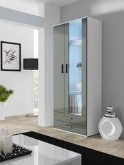 Vitrina Cama Meble Soho S6 2D2S, balta/pilka kaina ir informacija | Vitrinos, indaujos | pigu.lt