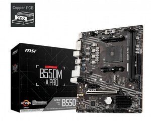 MSI B550M-A PRO цена и информация | Материнские платы | pigu.lt