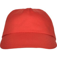 Kepurė su snapeliu vyrams, raudona kaina ir informacija | Vyriški šalikai, kepurės, pirštinės | pigu.lt