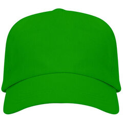 Kepurė su snapeliu vaikams, žalia kaina ir informacija | Kepurės, pirštinės, šalikai berniukams | pigu.lt