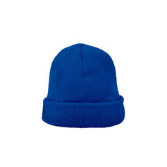 Kepurė vyrams, mėlyna kaina ir informacija | Vyriški šalikai, kepurės, pirštinės | pigu.lt