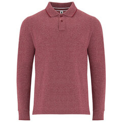 Рубашка-поло с длинными рукавами цена и информация | Мужские свитера | pigu.lt