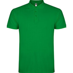 Рубашка-поло с коротким рукавом цена и информация | Рубашка для мальчиков | pigu.lt