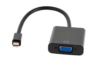 Видео Адаптер mini, Display Port на VGA цена и информация | Адаптеры, USB-разветвители | pigu.lt