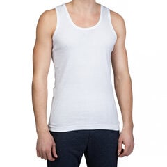 Vyriški marškinėliai Ceylan, balti, 3vnt kaina ir informacija | Vyriški apatiniai marškinėliai | pigu.lt