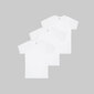 Vyriški marškinėliai Ceylan, balti, 3 poros kaina ir informacija | Vyriški apatiniai marškinėliai | pigu.lt