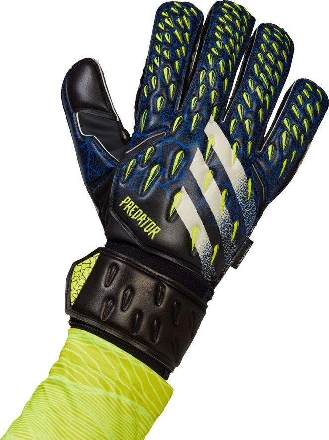 Vartininko pirštinės Adidas Predator GL MTC FS M GK3539, juodos kaina ir informacija | Vartininko pirštinės | pigu.lt