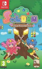 SWITCH Soldam: Drop, Connect, Erase kaina ir informacija | Kompiuteriniai žaidimai | pigu.lt