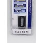 Sony NP-FH100 kaina ir informacija | Akumuliatoriai fotoaparatams | pigu.lt
