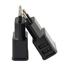 USB ir 220 V kištukas kaina ir informacija | Krovikliai telefonams | pigu.lt